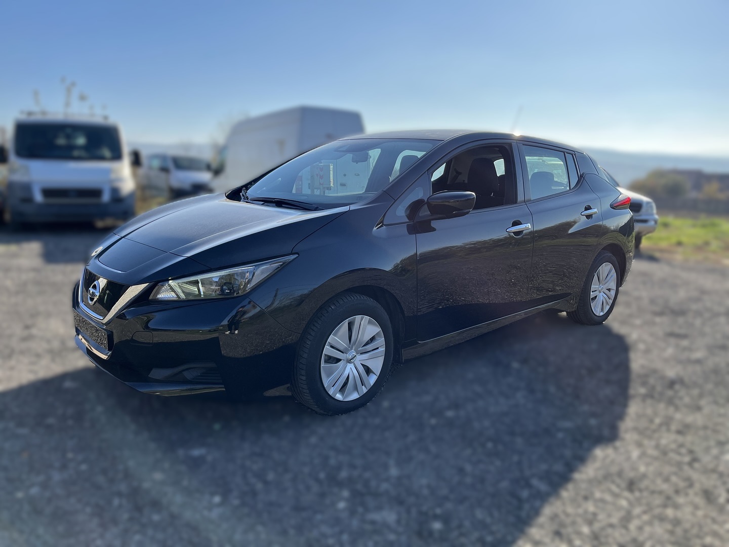 Nissan Leaf - Verificare AutoProfiCheck